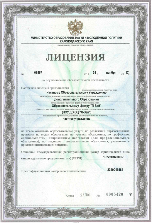 Лицензия